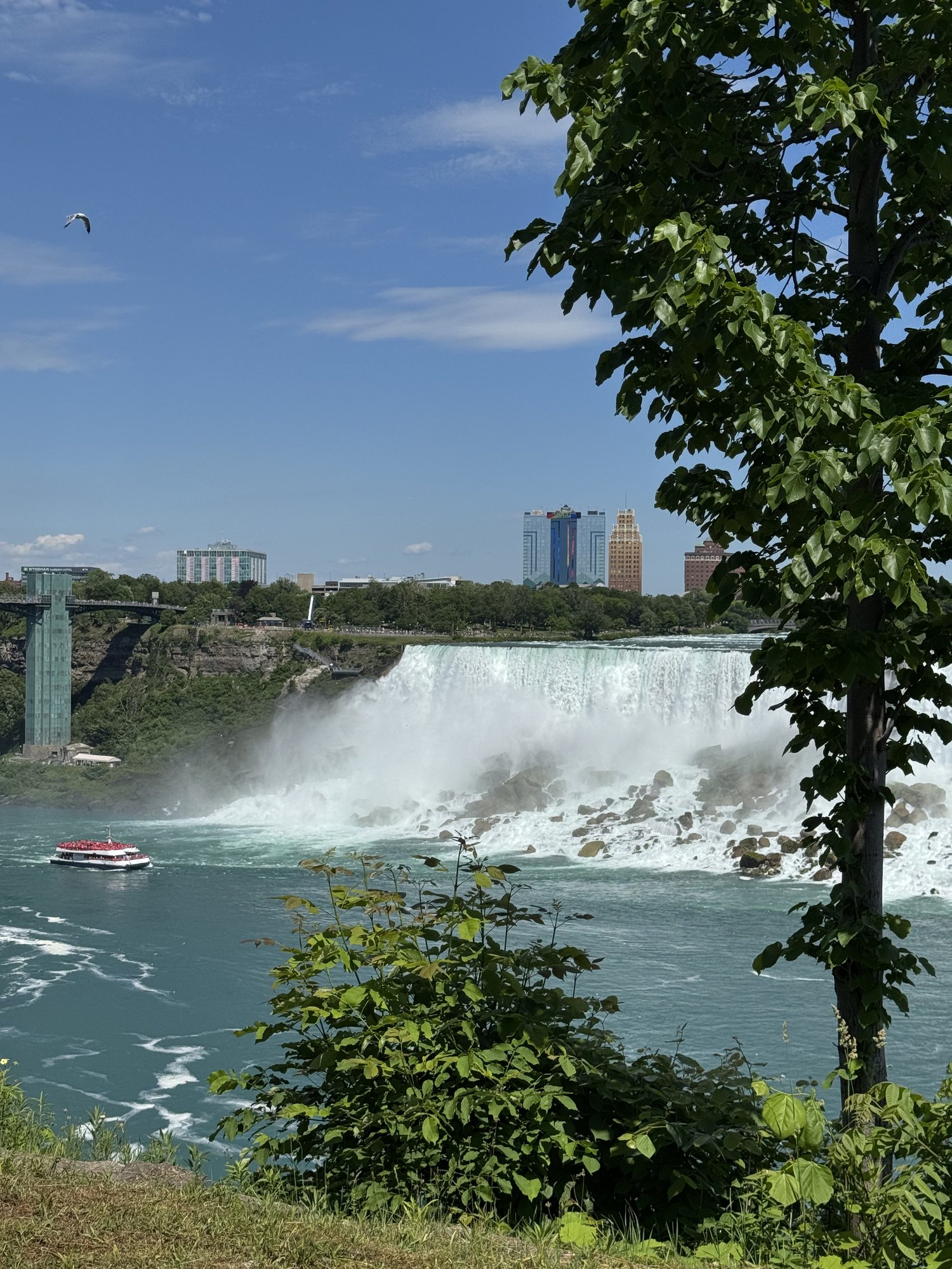 Niagara — photo